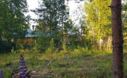 Продам земельный участок СНТ ДНП  СНТ Автомобилист недвижимость Северодвинск